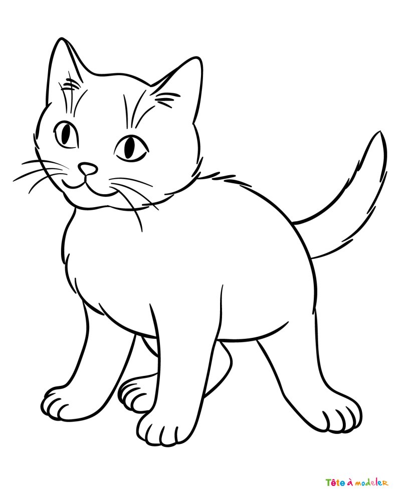 Coloriage chat #14