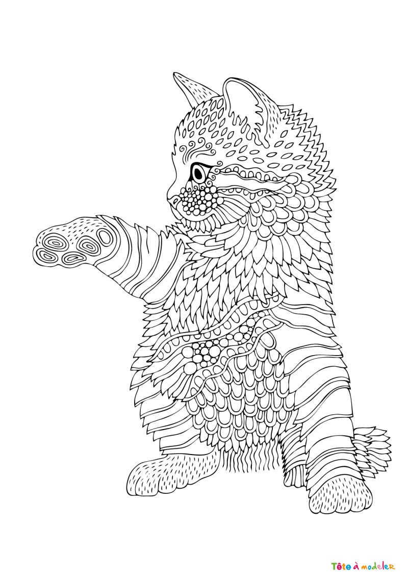 Coloriage chat #24
