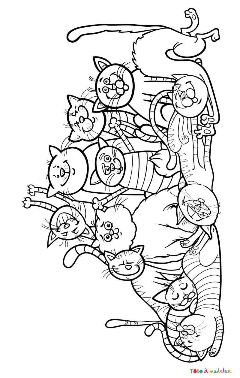 Coloriage chat #25