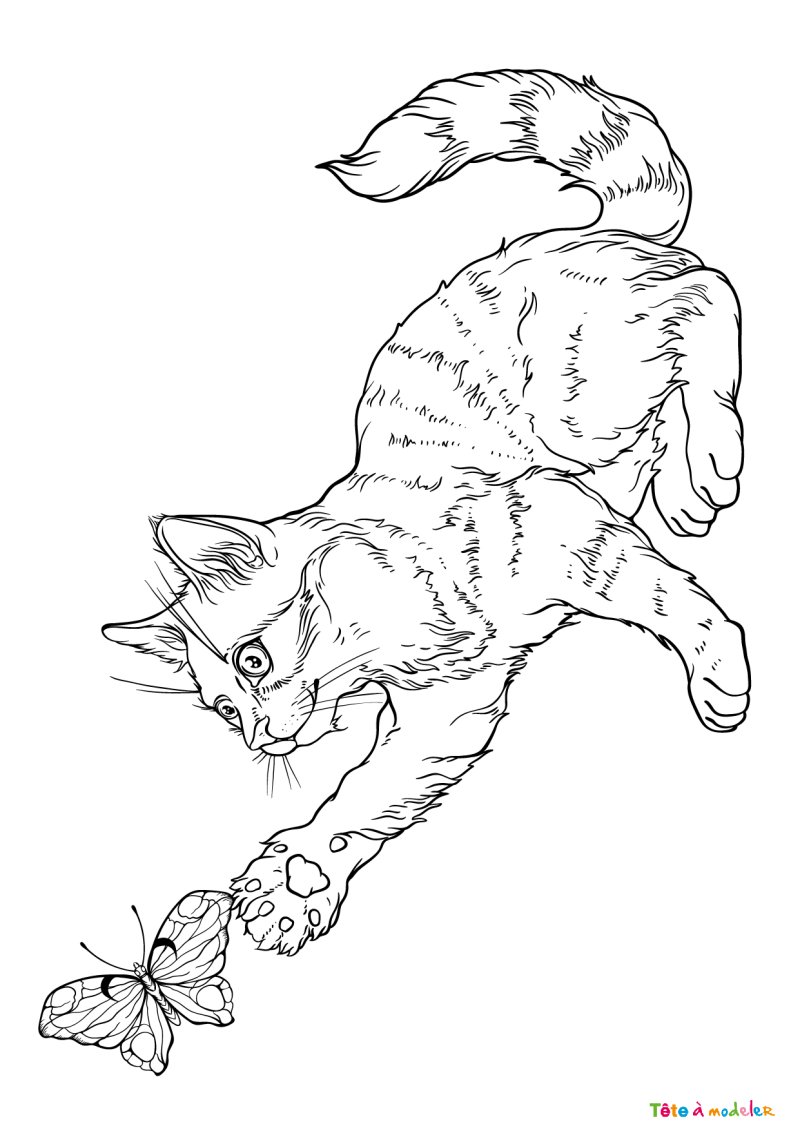 Coloriage chat #27