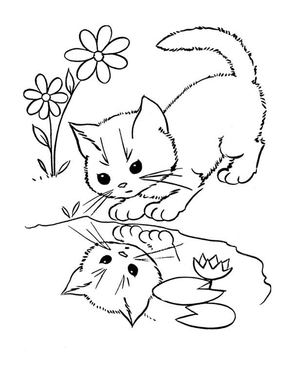 Coloriage chaton mignon