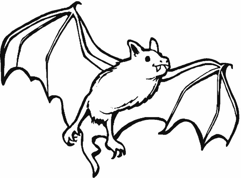 Coloriage d'une chauve-souris facile