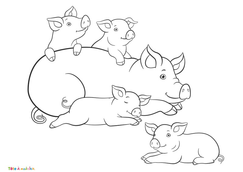 Coloriage cochon #01