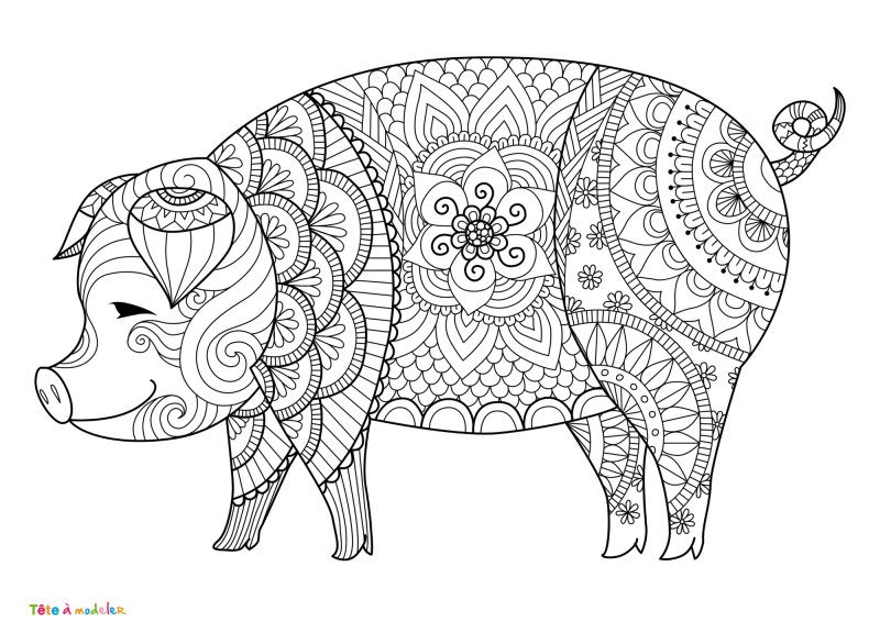 Coloriage cochon #02