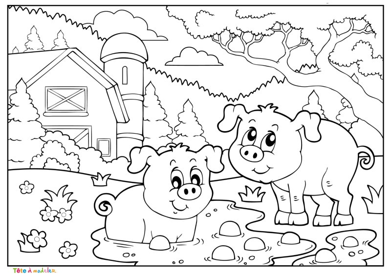 Coloriage cochon #03