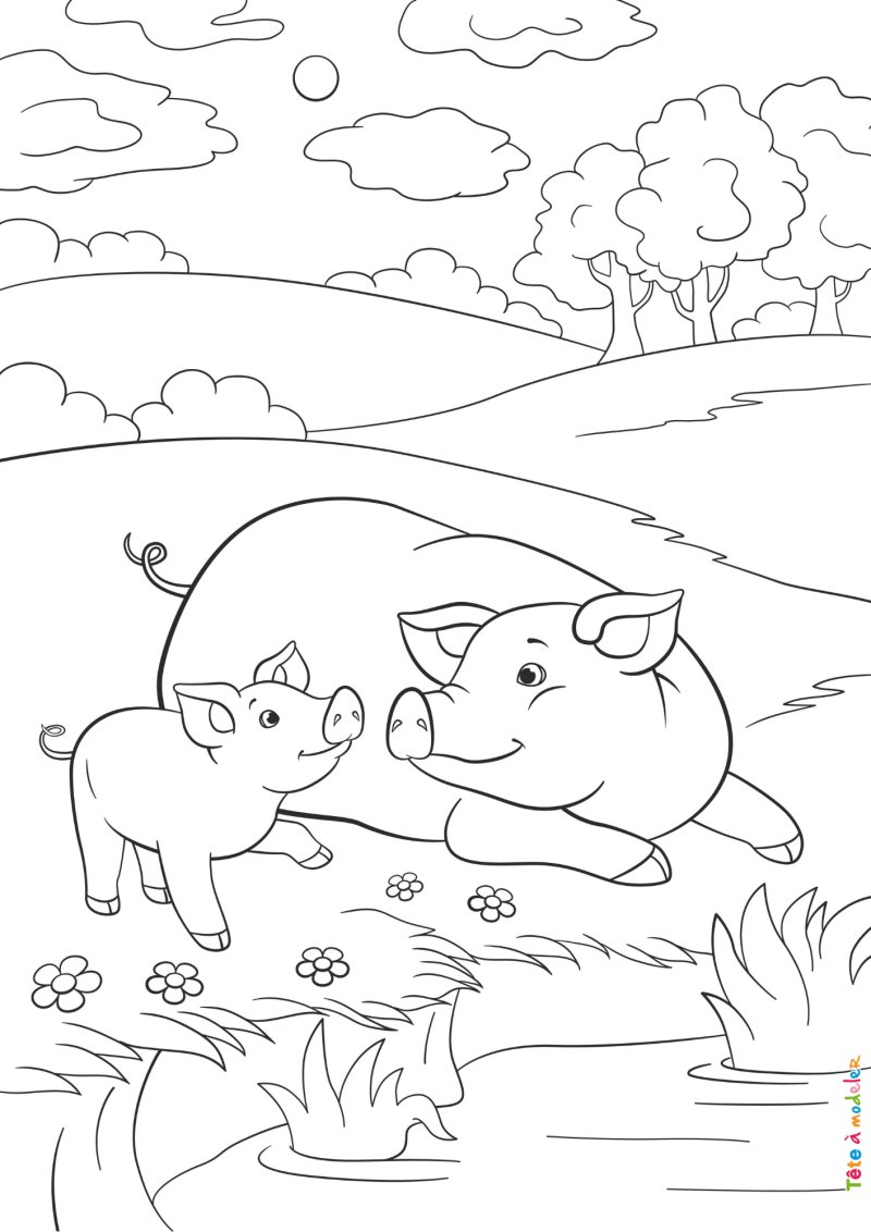 Coloriage cochon #07