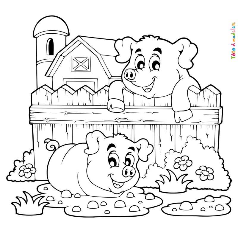 Coloriage cochon #10