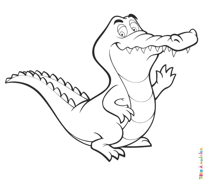 Coloriage crocodile #03