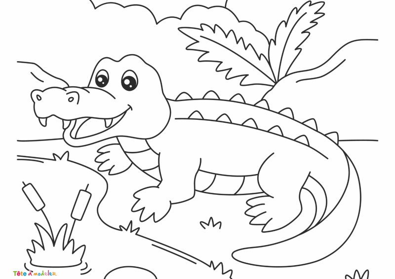 Coloriage crocodile #09