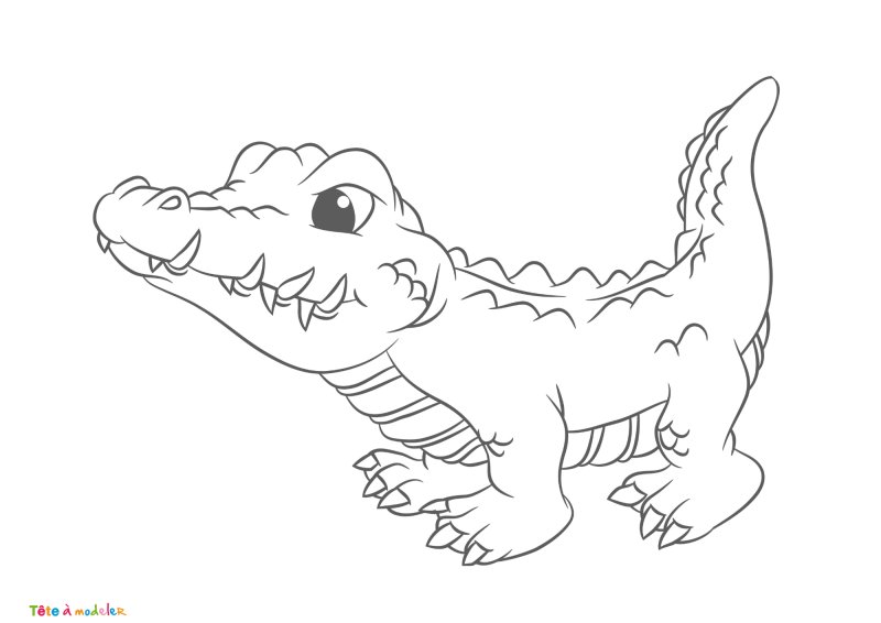 Coloriage crocodile #10
