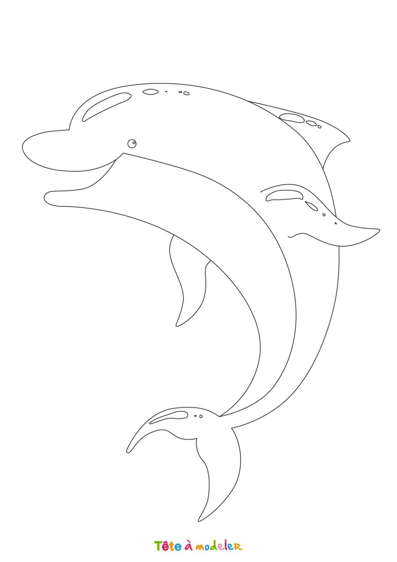 Coloriage d'un dauphin gratuit