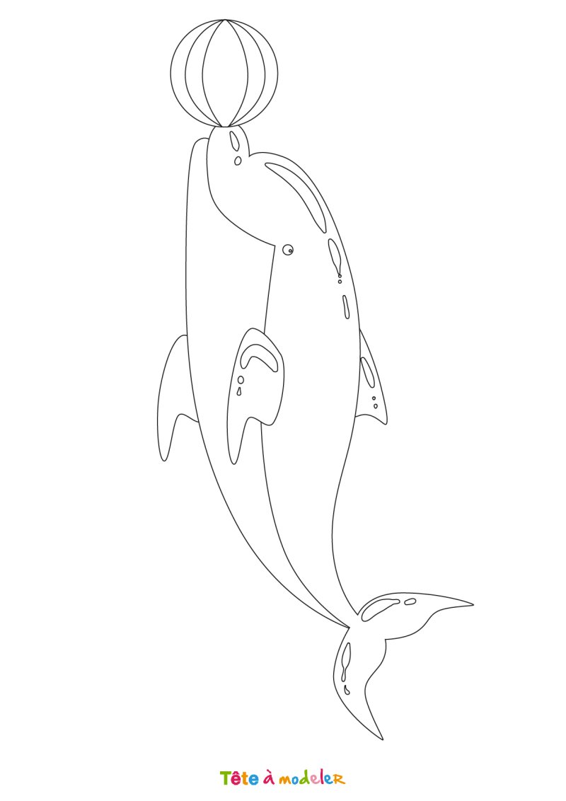 Coloriage d'un dauphin mignon