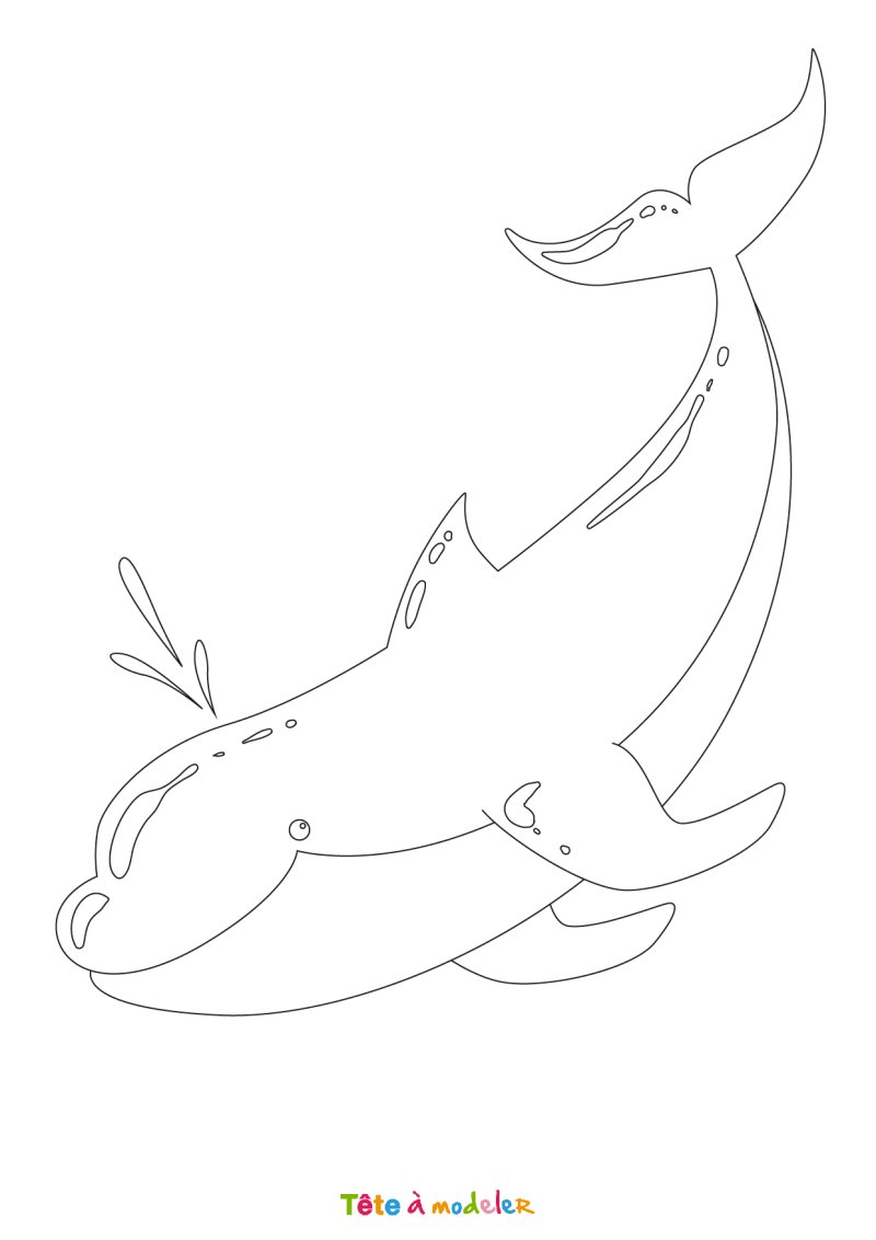 Coloriage d'un petit dauphin