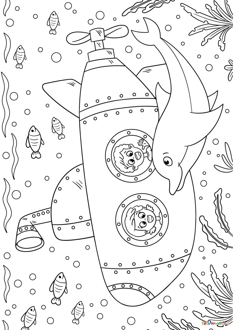 Coloriage dauphin #09