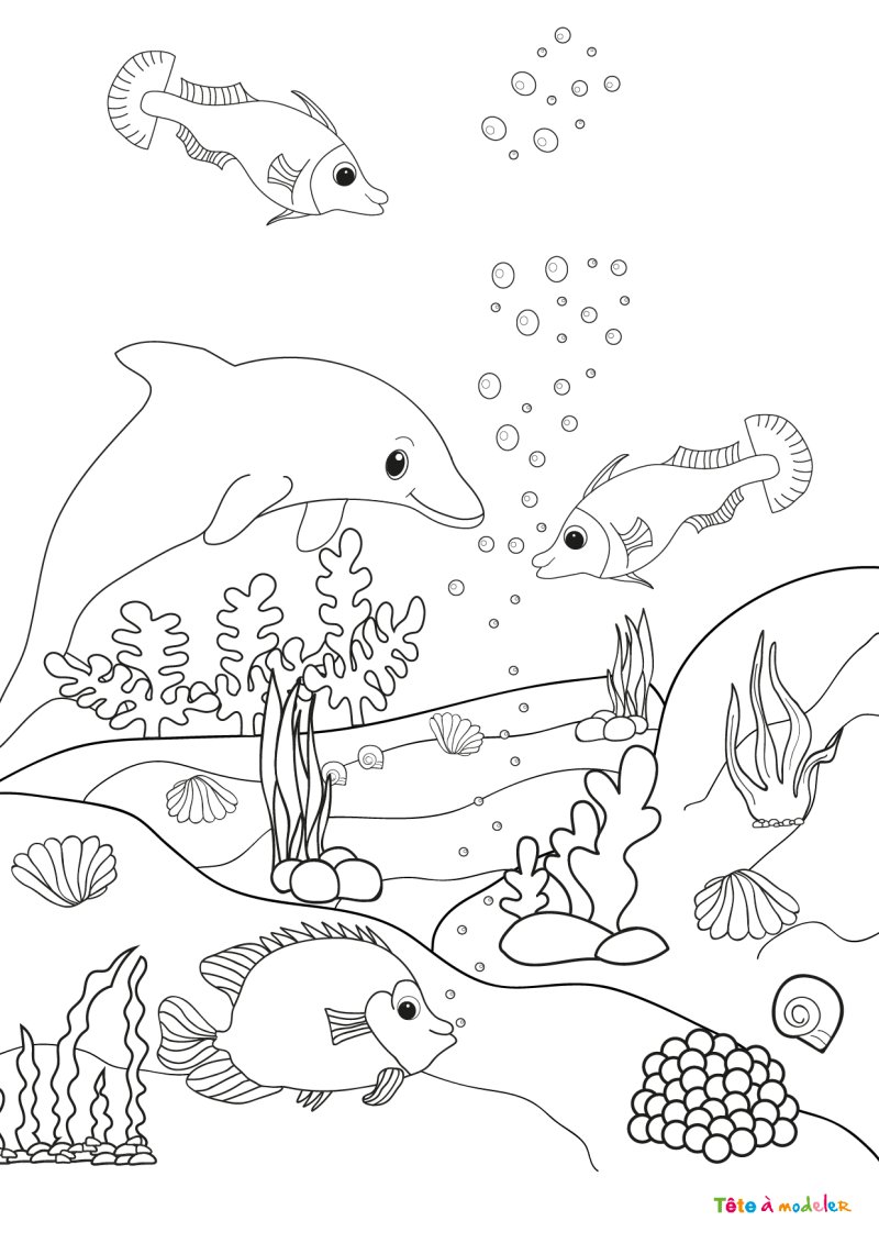 Coloriage d'un dauphin avec des poissons