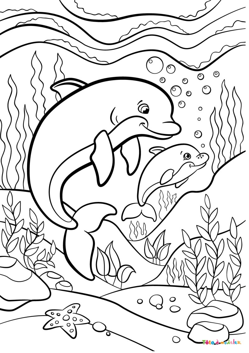 Coloriage d'un dauphin et son bébé