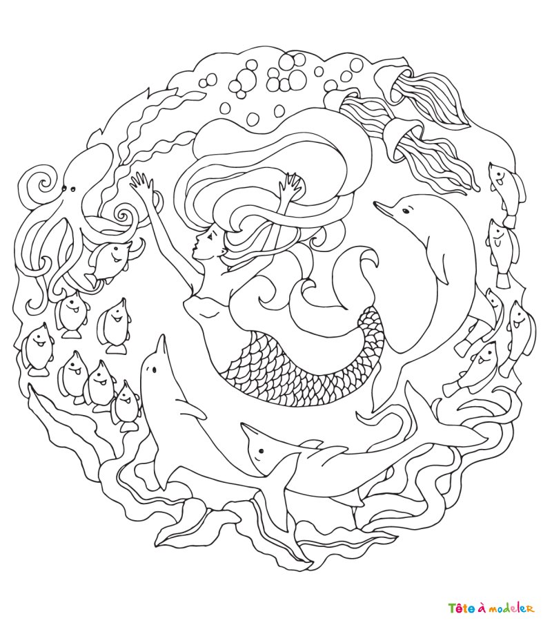 Coloriage dauphin #24