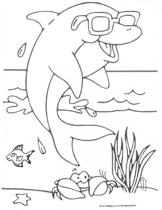 Coloriage dauphin de mer