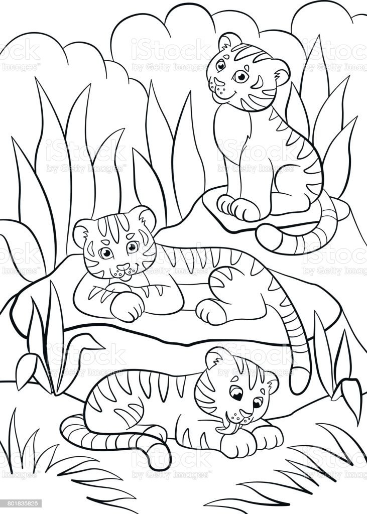 Coloriage de 3 tigres dans la savane