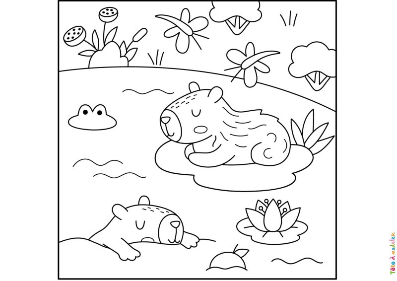 Coloriage de Capybara sur l'eau