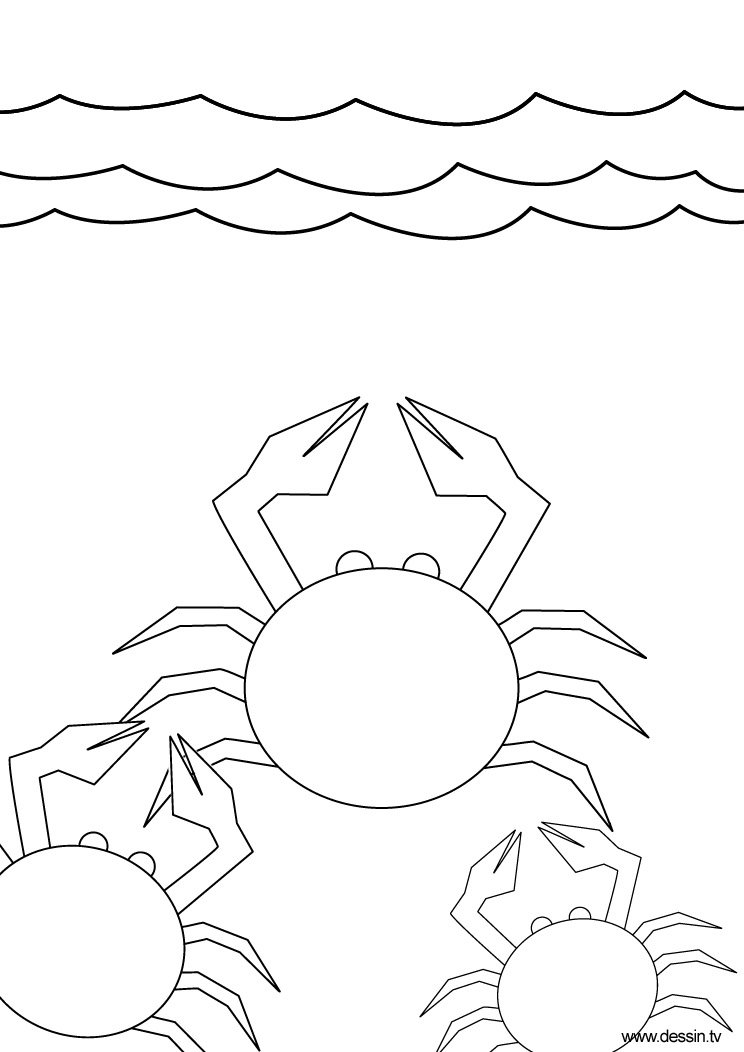 Coloriage de crabes à la mer