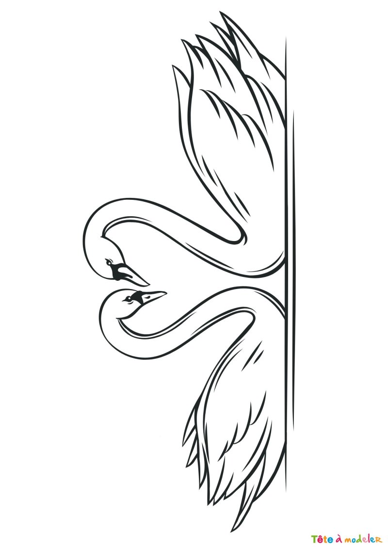 Coloriage de cygne en cœur