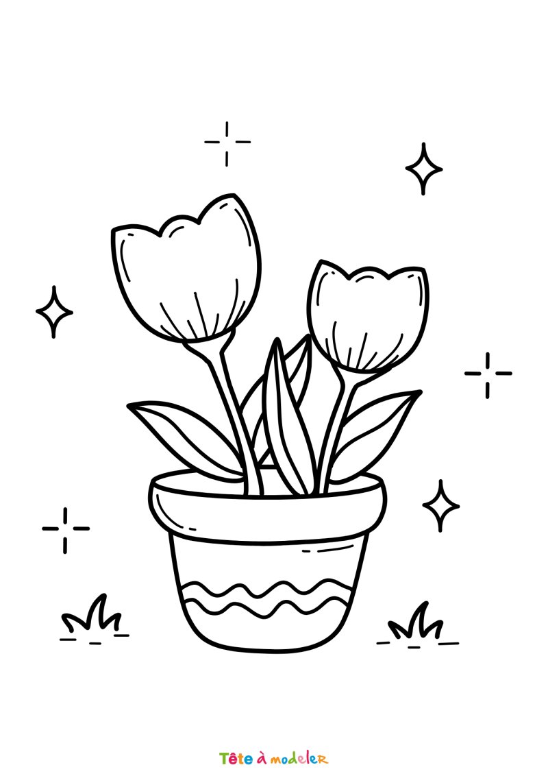 Coloriage de deux fleurs dans un pot