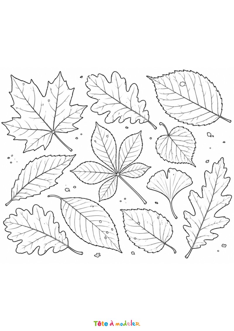 Coloriage de feuilles mortes d'automne à imprimer
