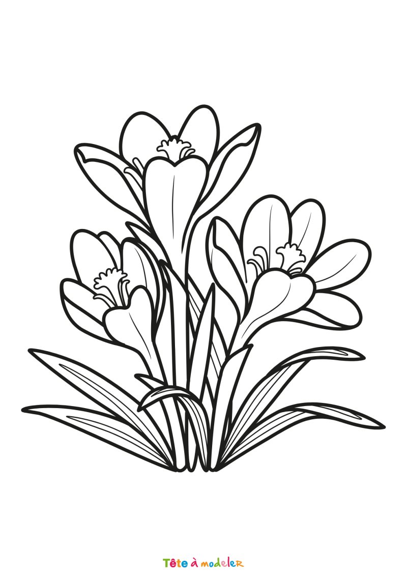 Coloriage de fleurs à télécharger
