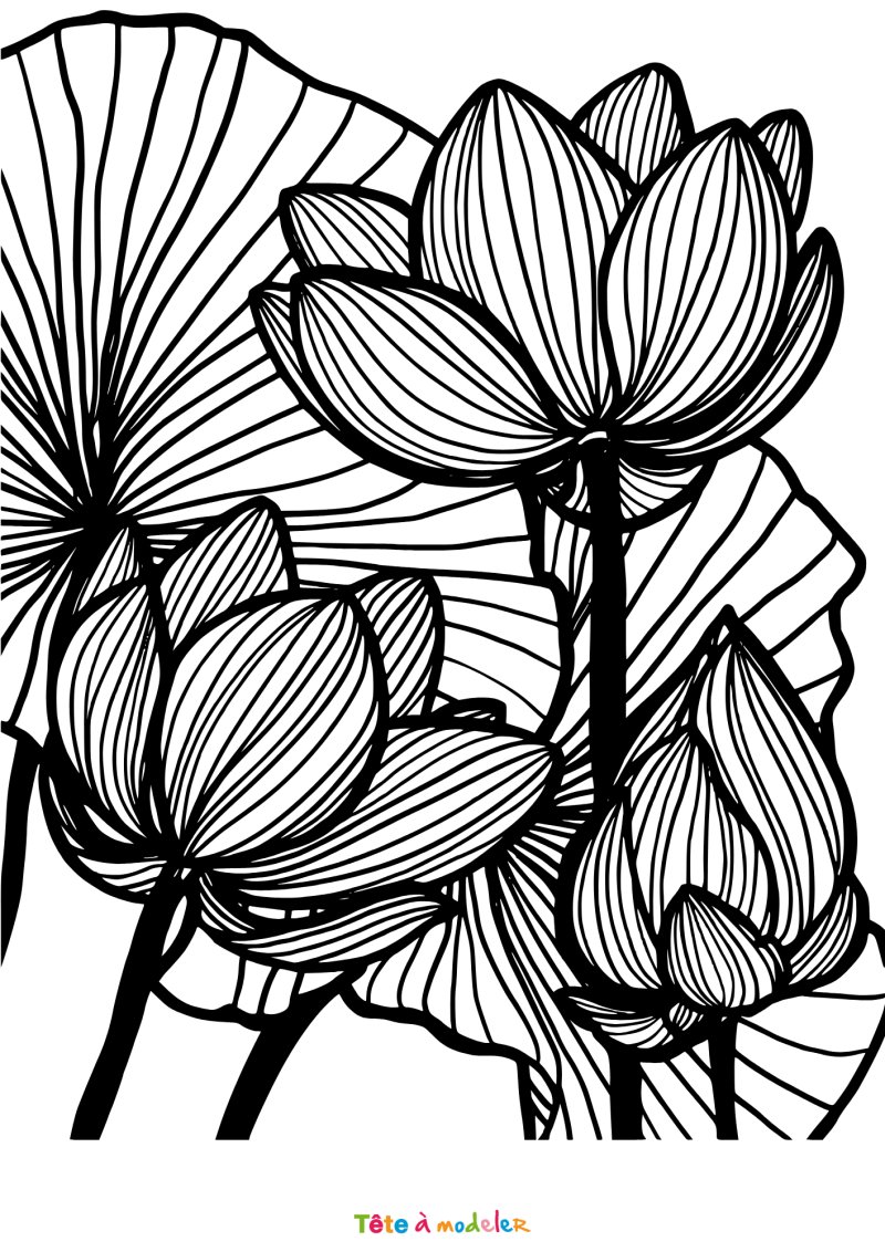 Coloriage de fleurs en pdf