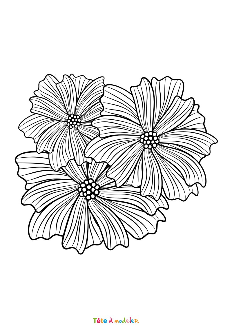 Coloriage de fleurs pour les maternelles