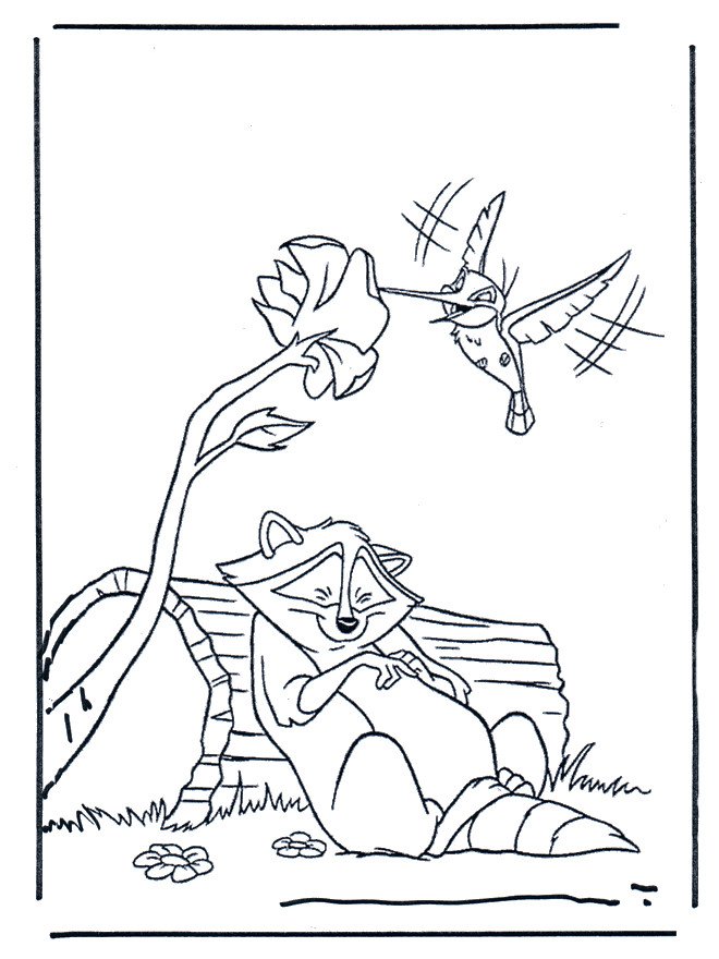 Coloriage de Flit et Meeko