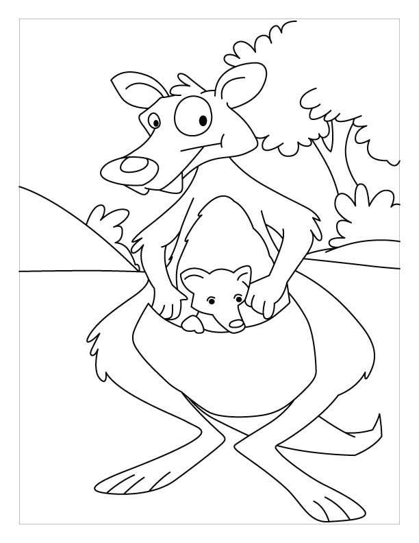 Coloriage de la poche du kangourou