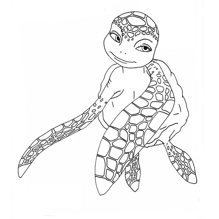 Coloriage de Shelly de Samy la Tortue 