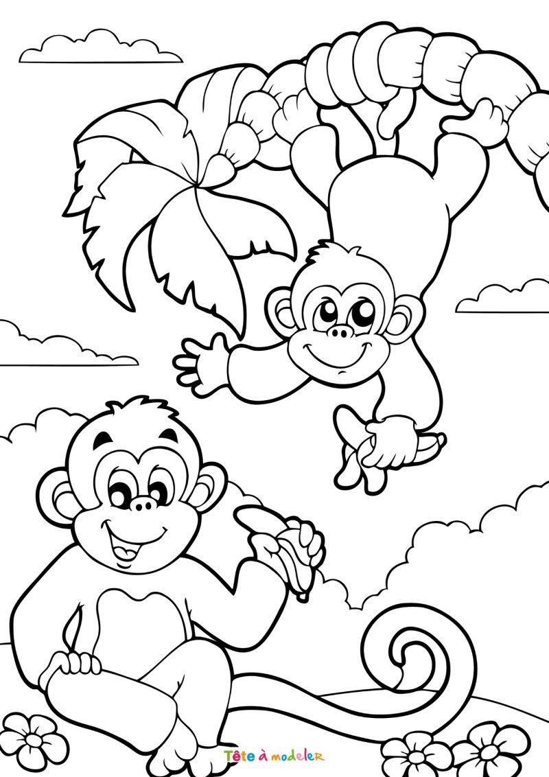 Coloriage de singes au zoo
