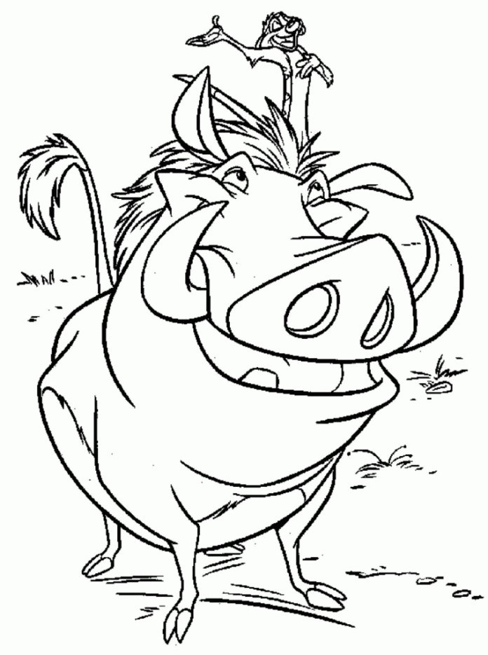 Coloriage de Timon et Pumba