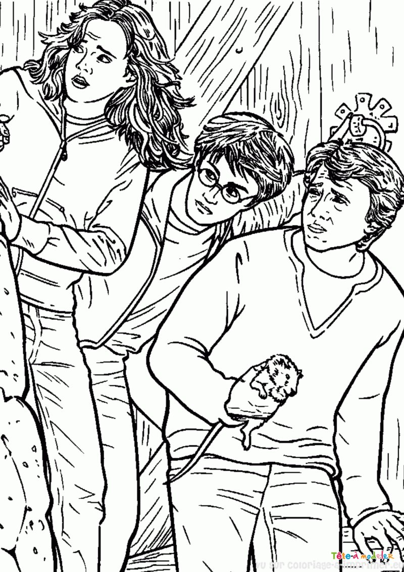 Coloriage d'Harry, Hermione et Ron