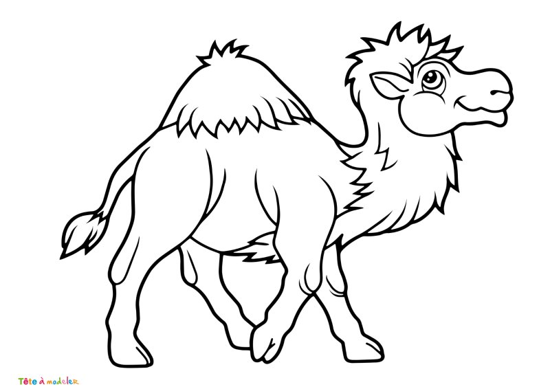 Coloriage dromadaire #01