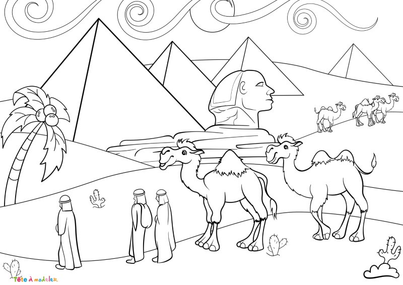 Coloriage dromadaire #05