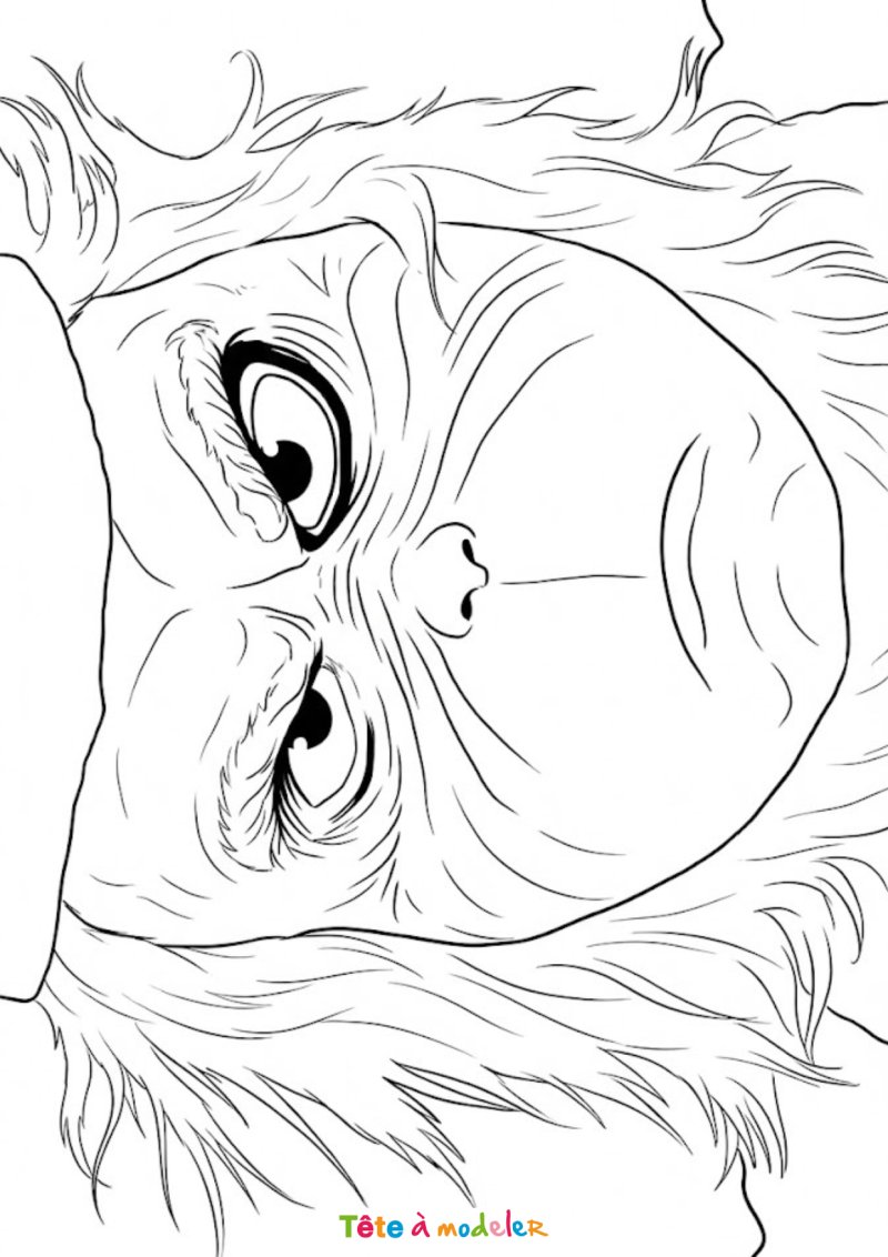 Coloriage du visage du Grinch