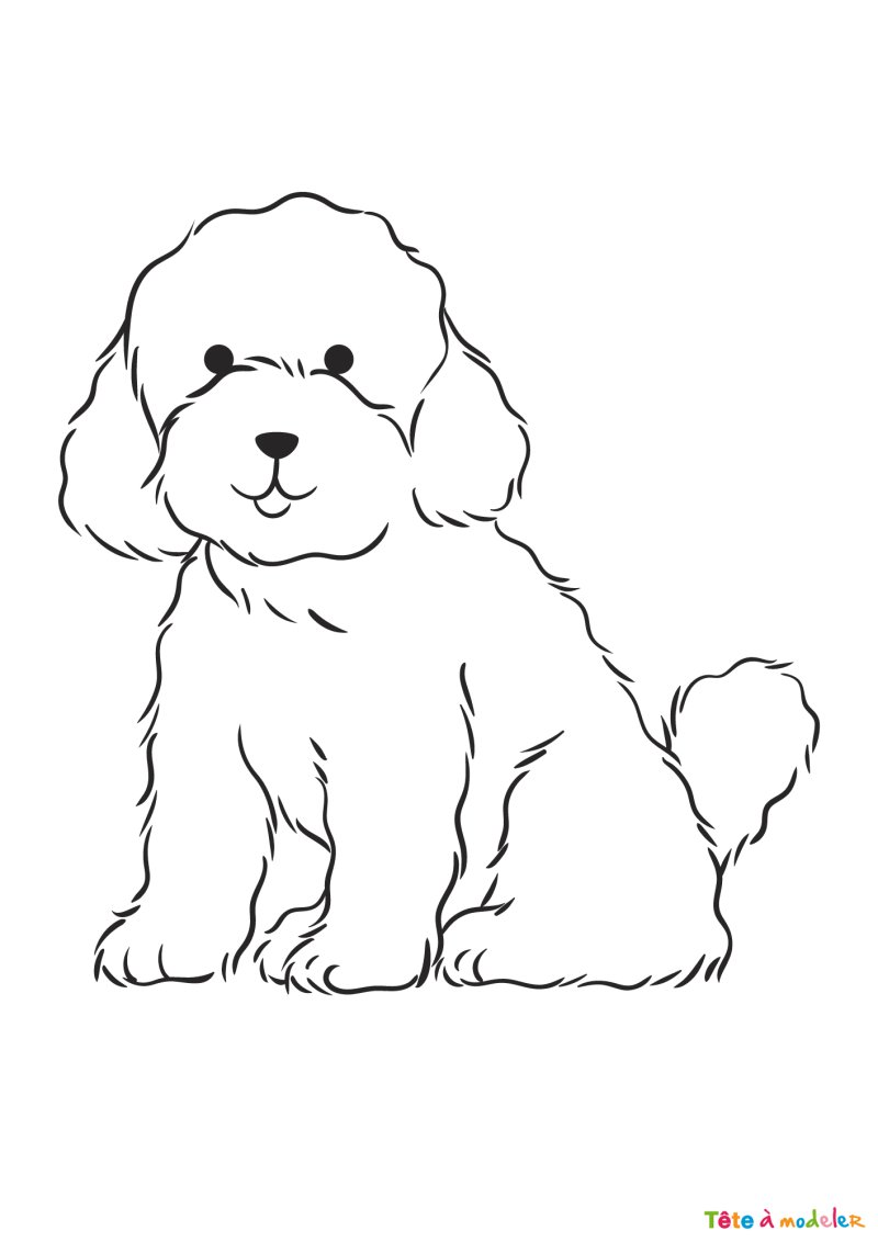 Coloriage d'un bébé caniche