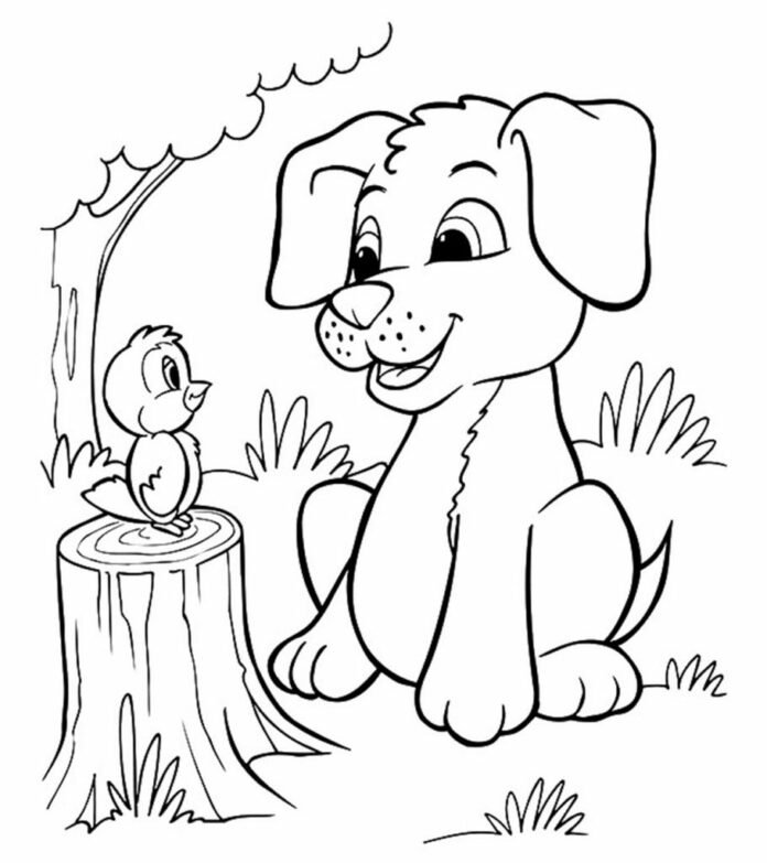 Coloriage d'un bébé chien