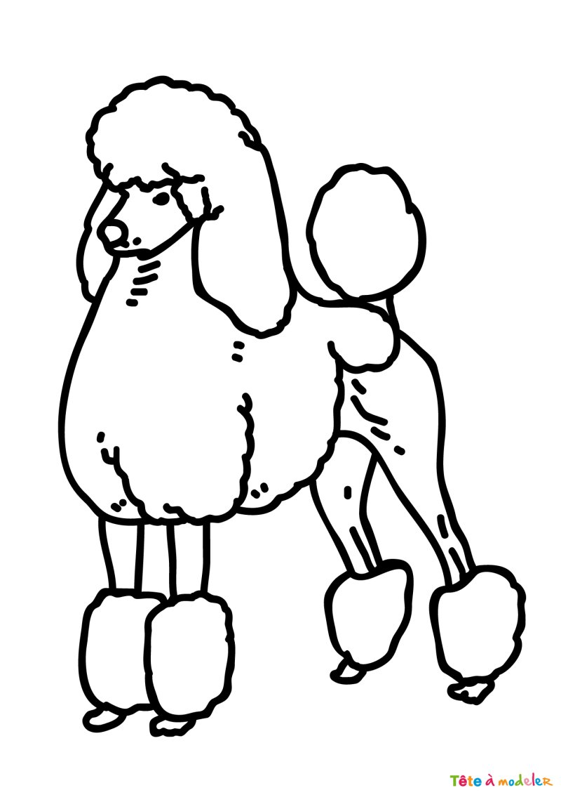 Coloriage d'un caniche Disney