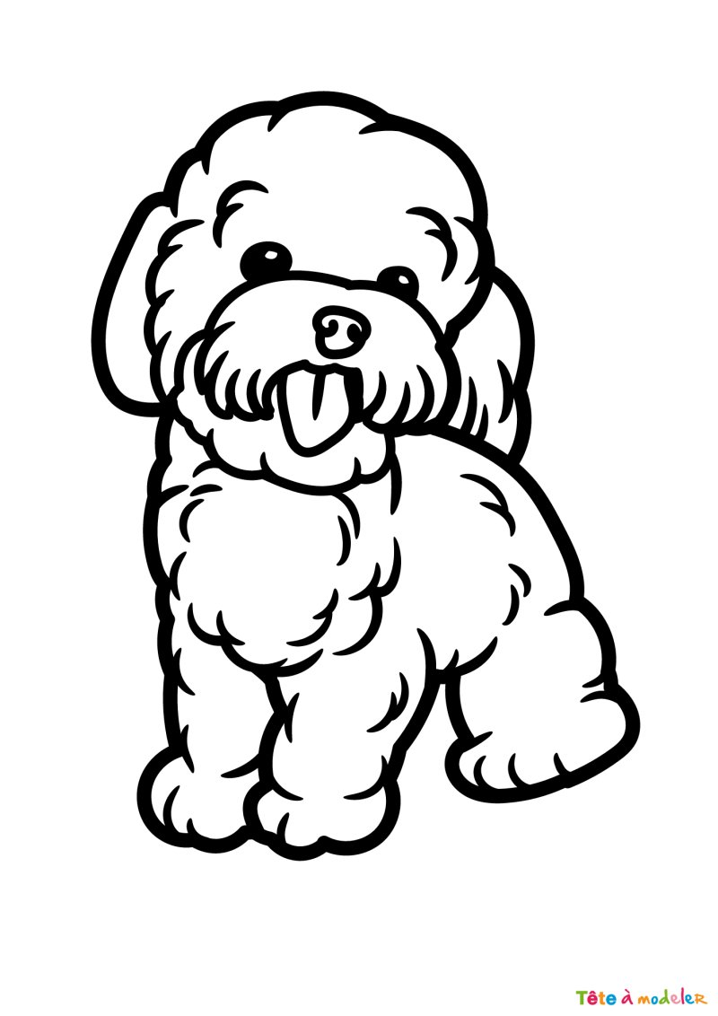 Coloriage d'un caniche drôle
