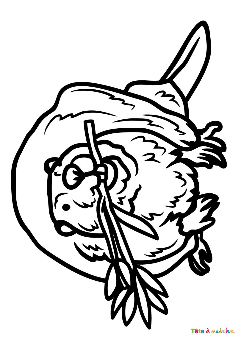 Coloriage d'un castor en ligne