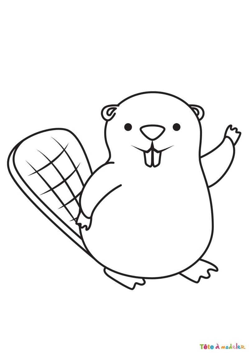 Coloriage d'un castor facile