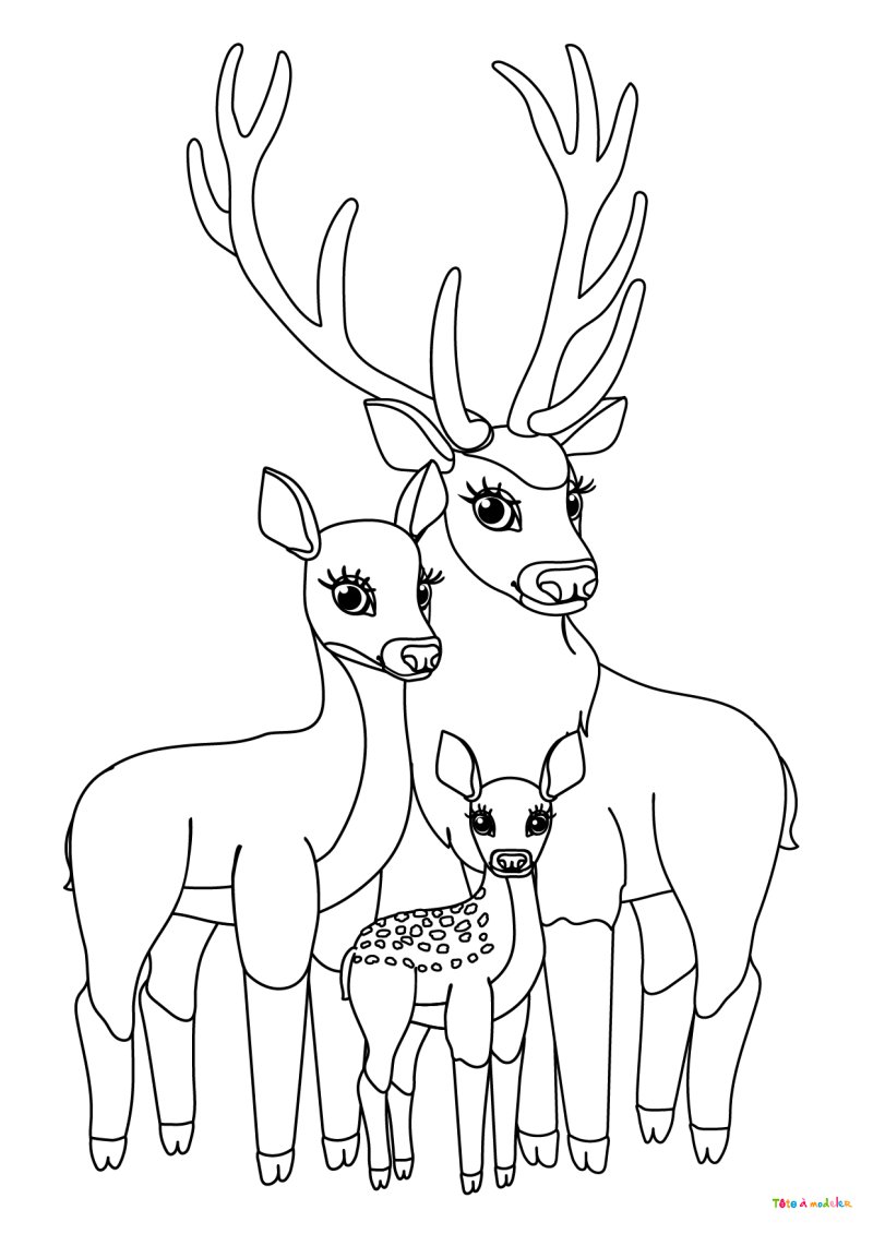 Coloriage d'un cerf et sa famille