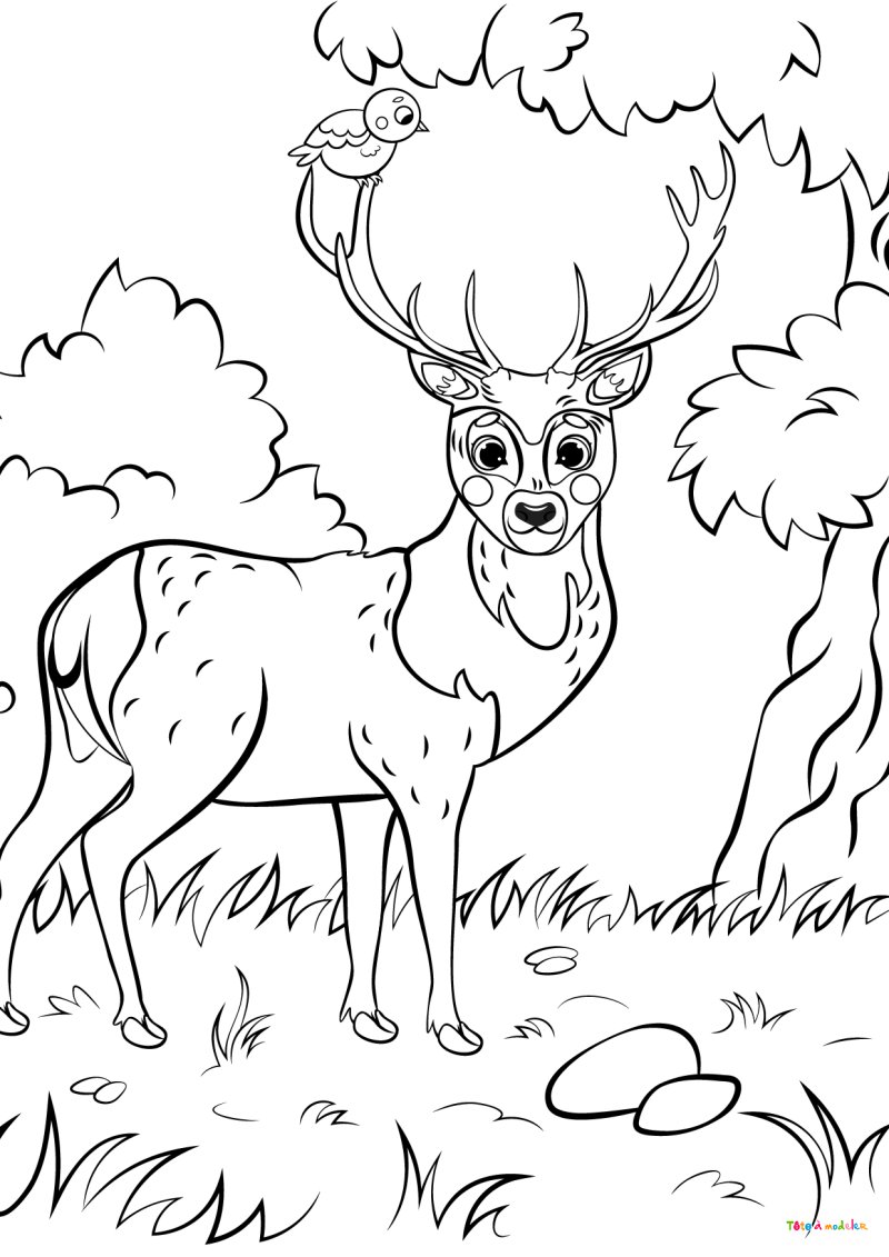 Coloriage d'un cerf mignon