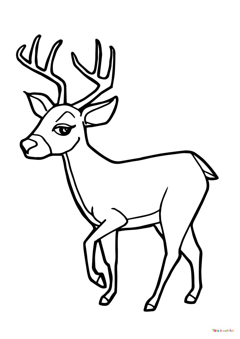 Coloriage d'un cerf adorable