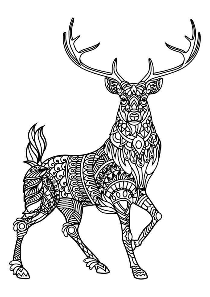 Coloriage d'un cerf façon mandala